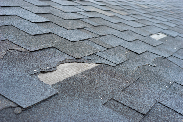 Understanding the Importance of Roof Replacement